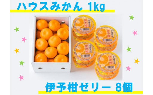 ハウスみかん1kg＆伊予柑ゼリー8個