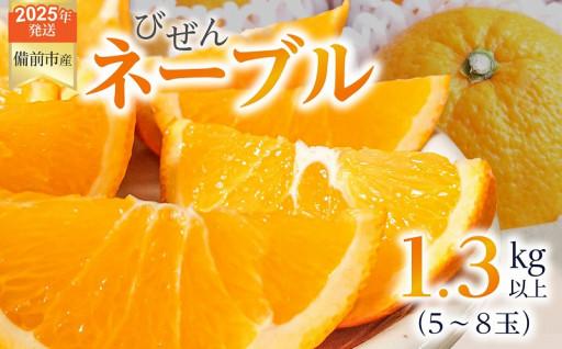 2025年発送の　びぜん　ネーブル　1.3kg以上（５～８玉）🍊