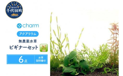 🌿🌱💧水草ビギナー6点セット✨