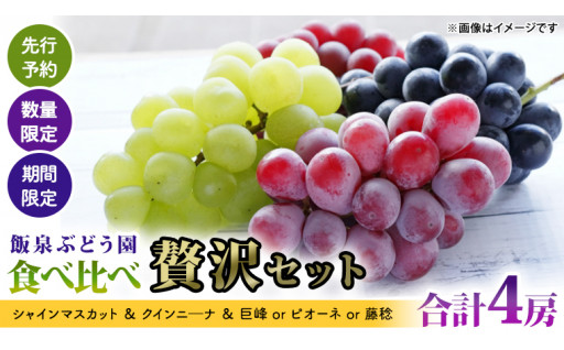 ＼知る人ぞ知る絶品！／【数量限定】おすすめぶどう4種食べ比べ贅沢セット🍇✨