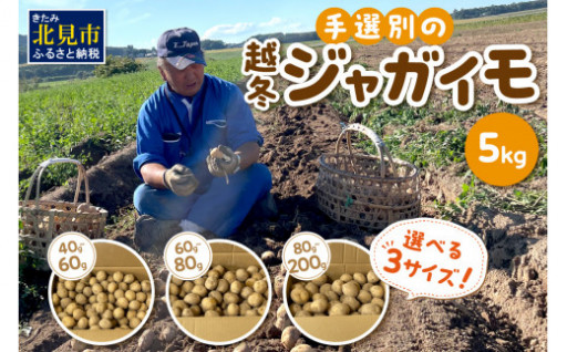 予約開始！選べる3サイズ！🥔✨