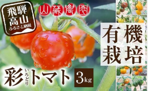 【2024年夏 先行予約】（7月中旬から順次発送予定）飛騨高山産 有機栽培トマト