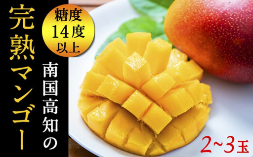沖縄や宮崎もいいけど、高知のマンゴーも美味しいよ