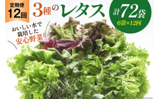 日本一ちいさな村の野菜工場でつくった安心野菜
