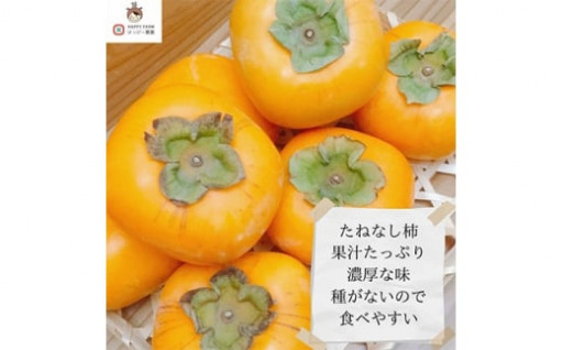 【予約受付中】たねなし柿L～2Lサイズ(16～18個入り)