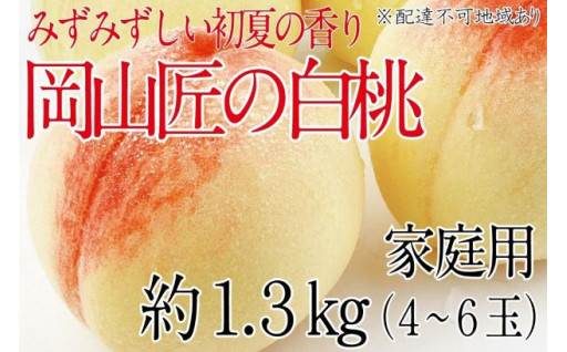 【先行予約】訳あり家庭用白桃 匠の白桃 1.3kg(4～6玉) 