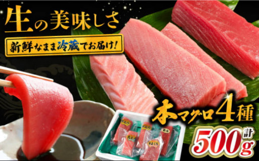 新鮮本マグロを生のまま堪能♪「本マグロ4種」