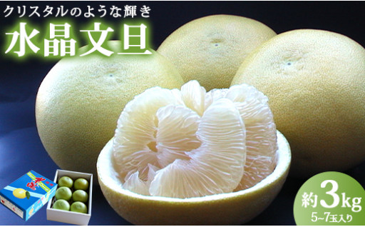 高知県香南市産 みずみずしい水晶文旦3kg