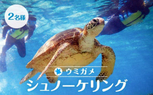 ウミガメシュノーケリングで非日常のアクティビティ体験を✨🐢