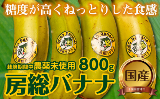 希少な国産バナナ【房総バナナ】食べてみてください