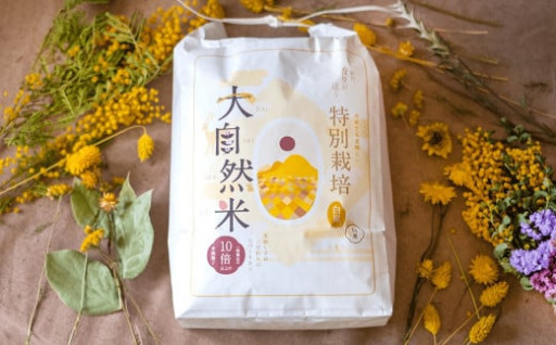 香春町産 夢つくし 大自然米 無洗米 計25kg