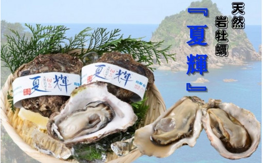 【今が旬！！】岩牡蠣が6月に解禁されました！！