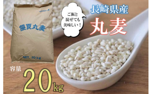 丸麦 20kg / 有限会社伊東精麦