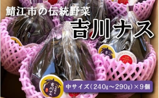 【期間限定】福井県鯖江市の伝統野菜 吉川ナス