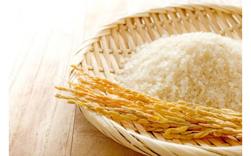 白米5㎏自然栽培の『認定米こしひかり』小里米！