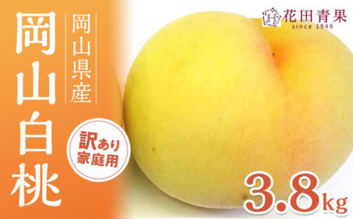 【訳アリ家庭用】岡山白桃 3.8kg〈もっとも旬な品種の桃をお届け〉