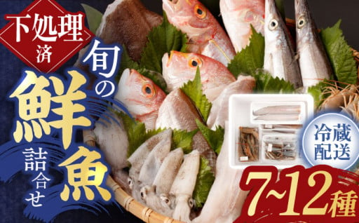 7月配送開始！下処理済！長崎県産の新鮮なお魚を一番美味しく食べられる冷蔵発送にてお届けします！