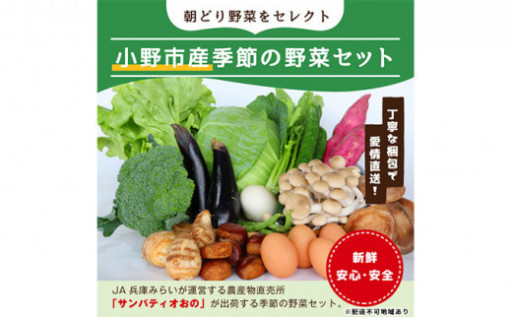 【朝どれ野菜!!】季節の野菜セット
