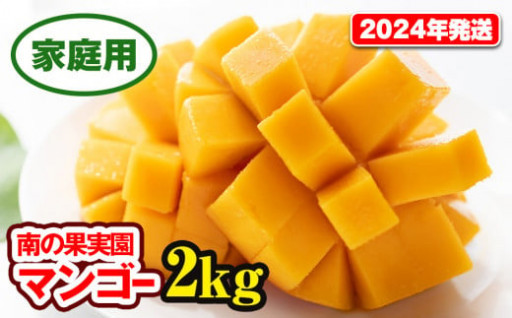 【家庭用】沖縄産 完熟マンゴー 2kg