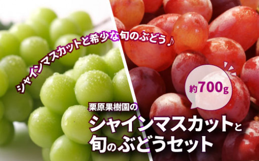 【数量限定】栗原果樹園のシャインマスカットと旬のぶどうセット