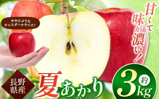 【夏あかり3ｋｇ】夏りんごの革命児。甘くて硬い味の濃いりんご、夏あかり約3ｋｇ 