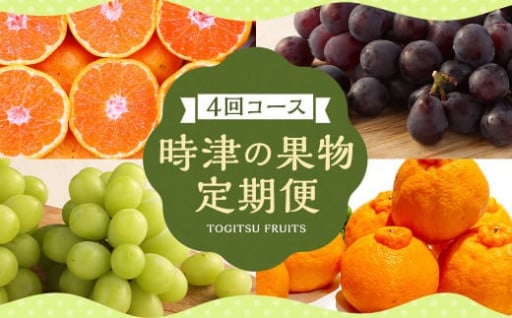 【定期便 4回コース】時津の果物定期便