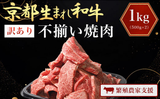 【訳あり】和牛 不揃い焼肉1kg（500g×2）