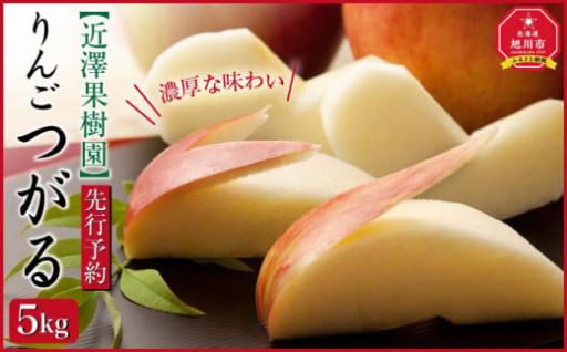 【先行予約】北海道産　りんご「つがる」5kg