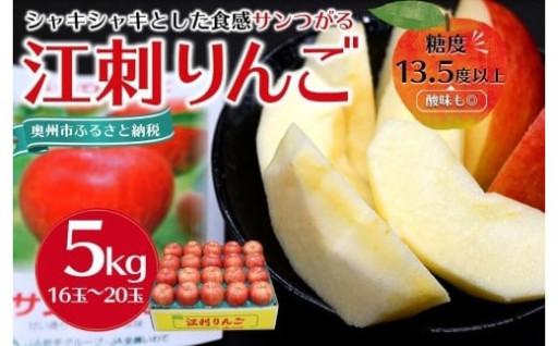 【数量限定】江刺りんご サンつがる 5kg（16～20玉）【９月中旬以降お届け】