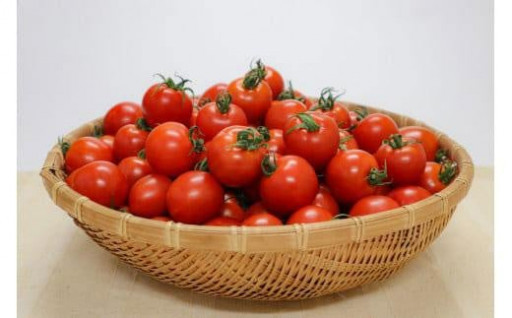【人気返礼品・大容量】フルーツトマト 三朝町産 2kg × 1箱