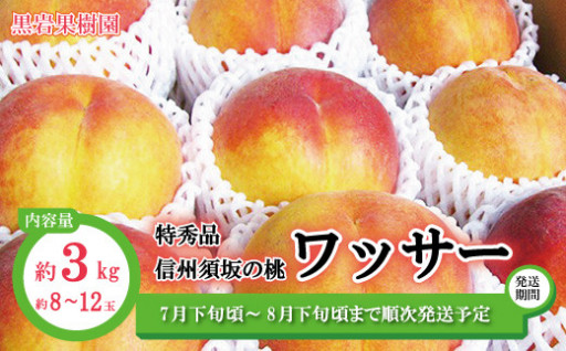 【カリカリ食感が魅力的✨珍しいフルーツ🍑】桃みたいだけど桃じゃない🍑ワッサーを知ってほしい！！！