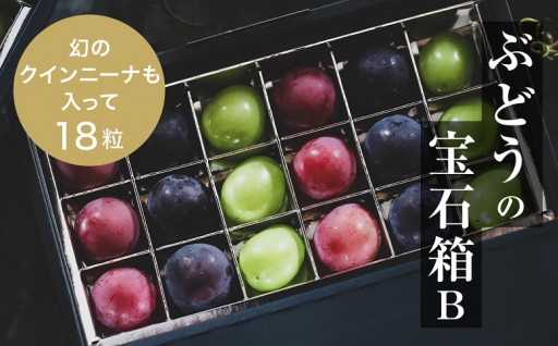 ぶどうの宝石箱B・3品種　2024年9月～発送