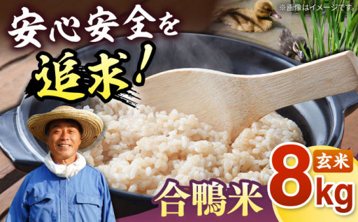 【6月末まで】人と自然にやさしい合鴨農法で作った栄養たっぷり玄米！