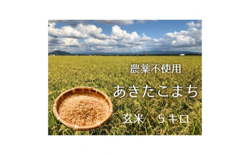 【米どころ大潟村６０周年！】玄米　あきたこまち5kg 栽培期間中農薬不使用！