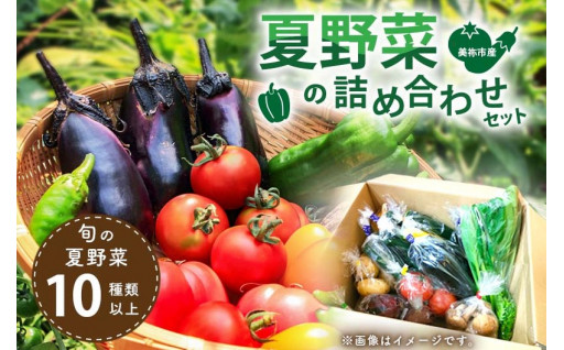 美祢市産 夏野菜の詰め合わせセット ＜先行予約：7月中旬～8月下旬発送＞