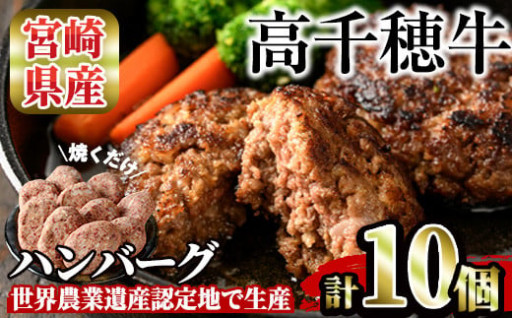 高千穂牛 ハンバーグ(計10個・2個×5P)