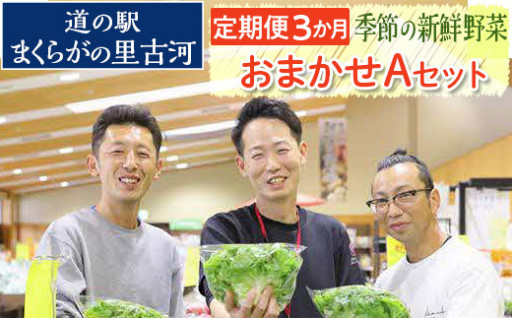 【定期便3か月】道の駅まくらがの里古河　季節の新鮮野菜おまかせAセット_BQ05