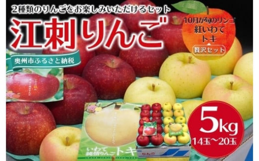 【数量限定】奥州市産りんご（紅いわて）と江刺りんご（トキ）のセット 5kg（14～20玉）
