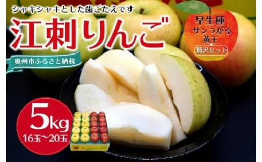 【数量限定】江刺りんご サンつがる・黄王 5kg（16～20玉）【９月中旬以降お届け】