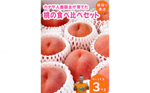 新鮮な【朝採り】桃の食べ比べセット約3kg