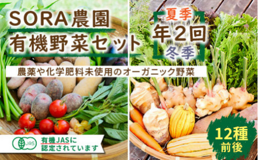SORA農園有機野菜セット年2回（夏季・冬季）