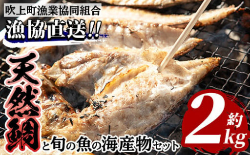 海産物セット！タイと旬の魚の干物・旬の魚の竜田揚げの素セット(計約2.0kg)