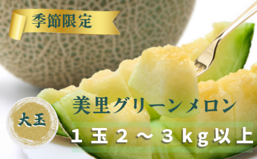 ７月２８日までの期間限定！！上田農園の美里グリーン１玉２〜３kgの大玉