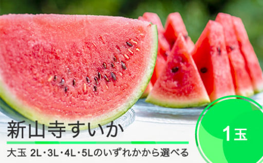 日本の暑い夏に家族で食べたい、大石田町のすいか「新山寺すいか」をご案内