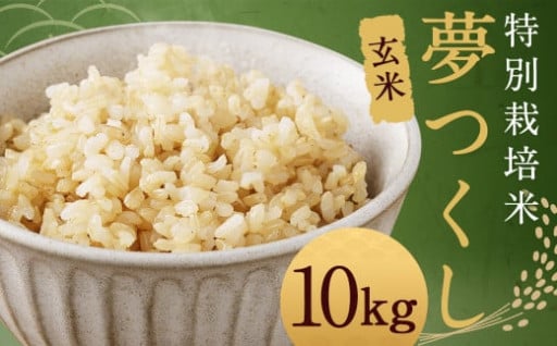 【玄米】 夢つくし （特別栽培米） 約10kg