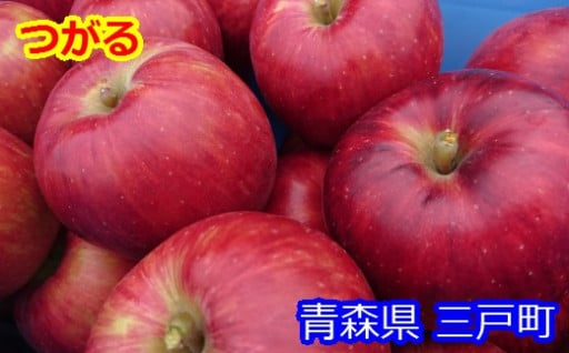 9月が旬のりんご🍎【つがる】先行予約受付中です！