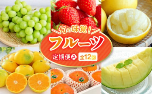 【熊本県宇土市】うとん ( 宇土の ) フルーツ定期便🍊🍇🍓