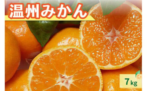 🍊御浜産温州みかん7キロ（家庭用)🍊