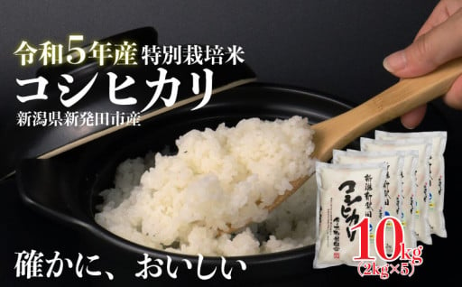 しばたに在庫があります！令和5年産のお米。