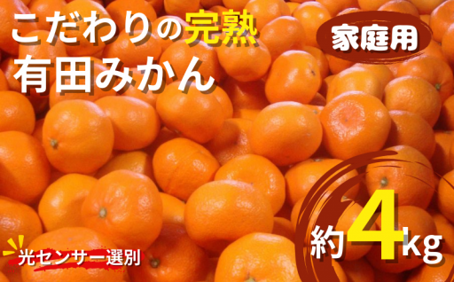  【家庭用】こだわりの有田みかん🍊